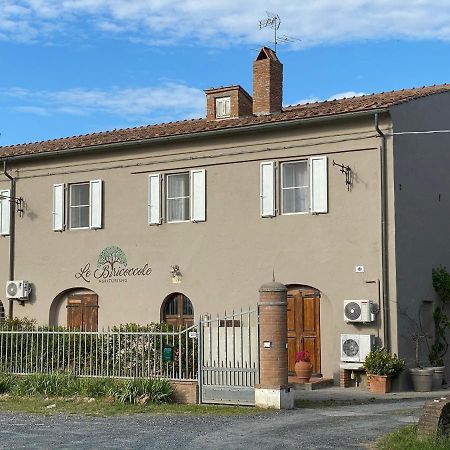 Agriturismo Le Biricoccole Vada Εξωτερικό φωτογραφία