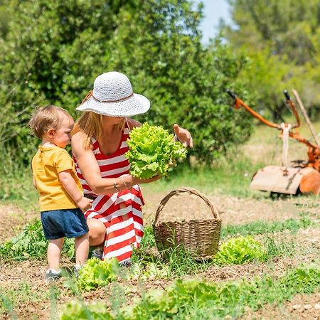 Agriturismo Le Biricoccole Vada Εξωτερικό φωτογραφία