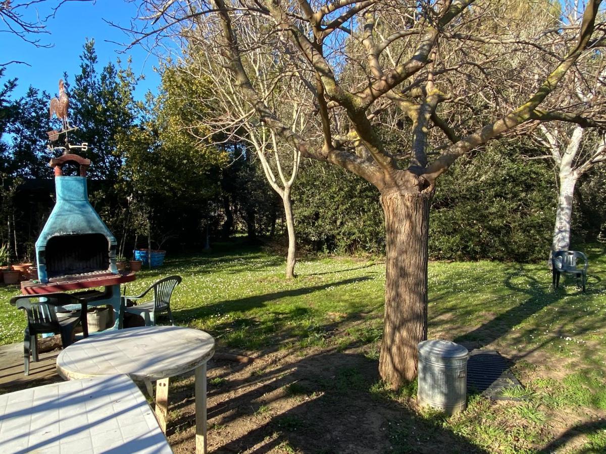Agriturismo Le Biricoccole Vada Εξωτερικό φωτογραφία