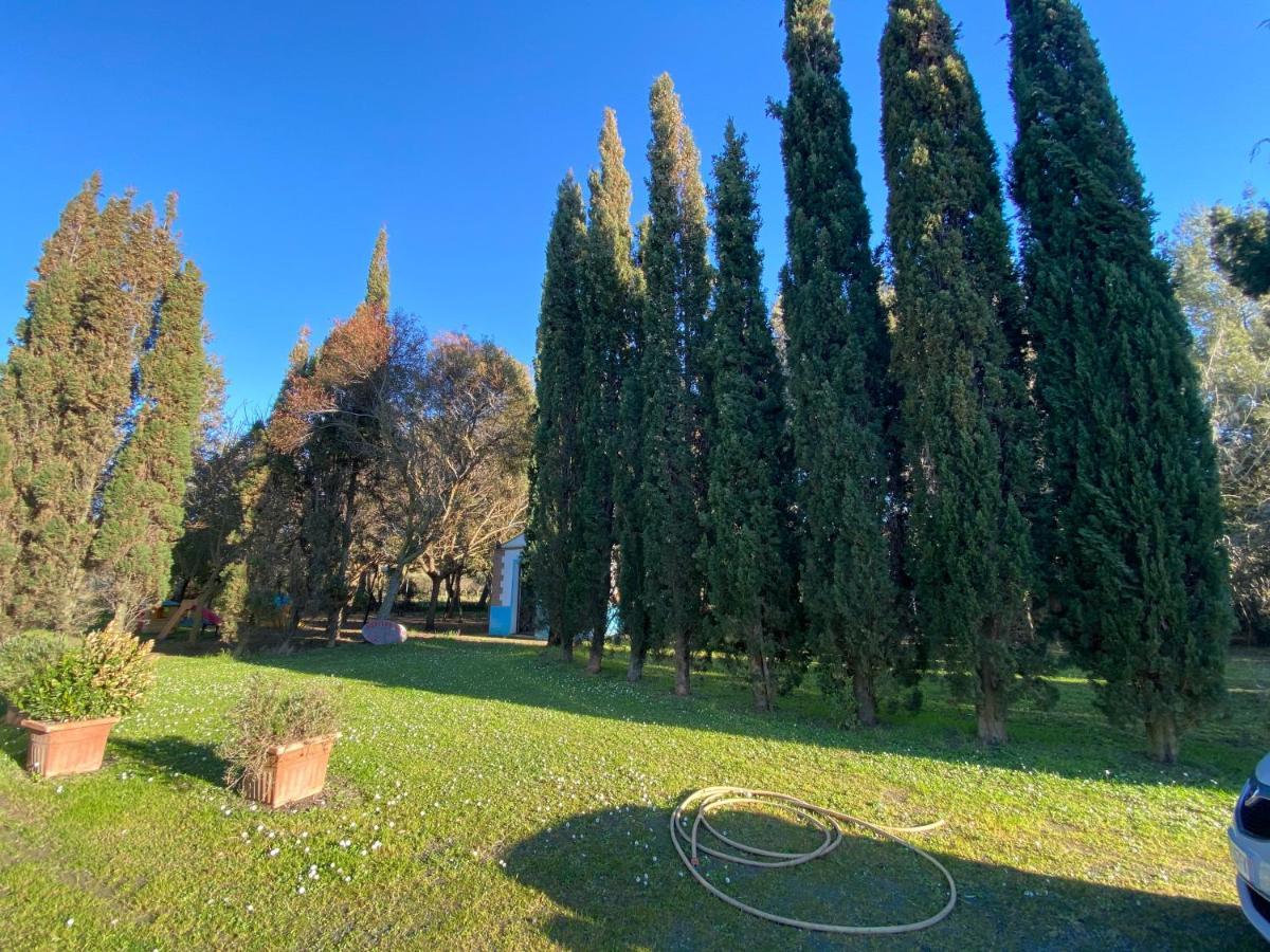 Agriturismo Le Biricoccole Vada Εξωτερικό φωτογραφία