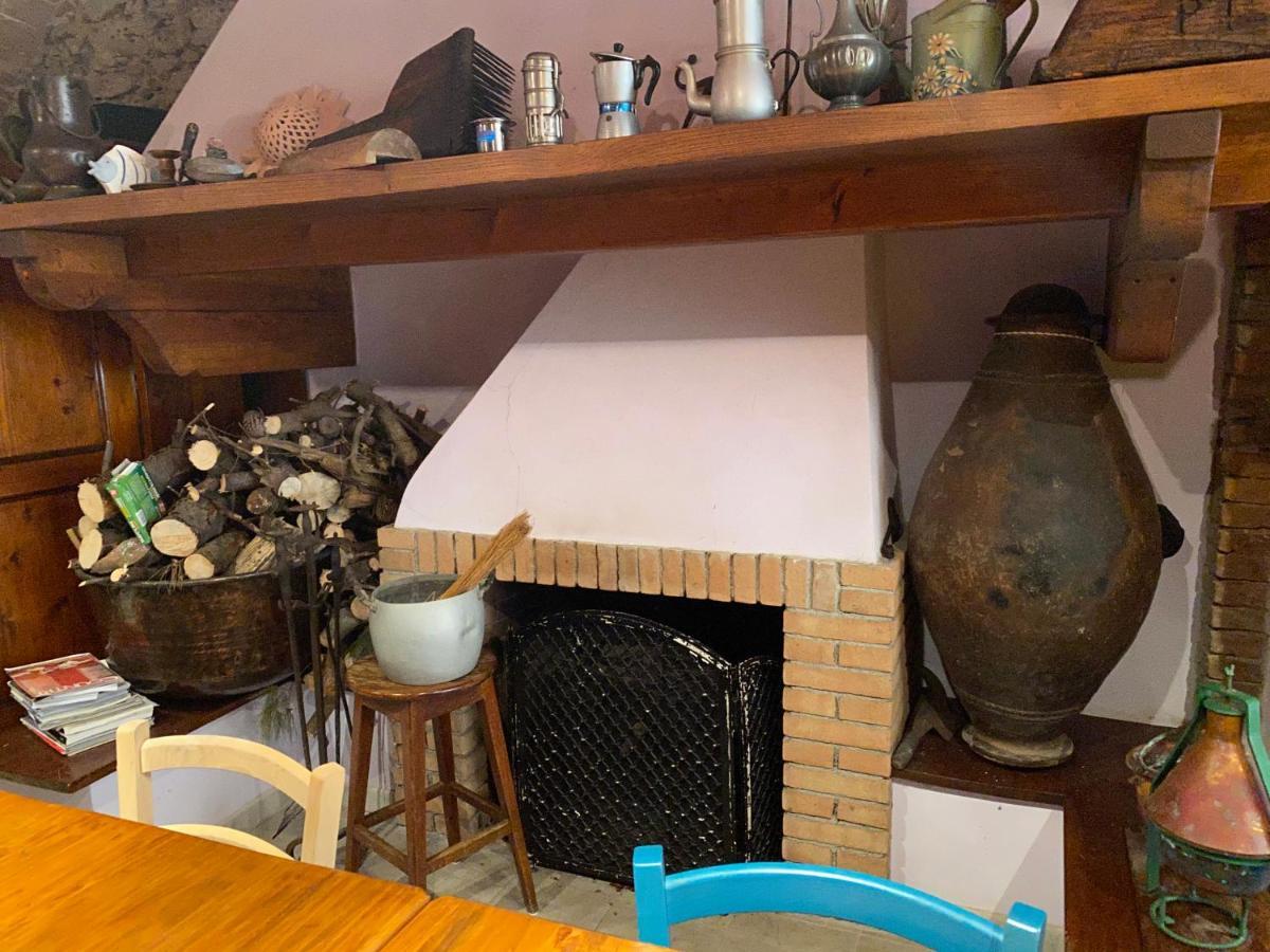 Agriturismo Le Biricoccole Vada Εξωτερικό φωτογραφία