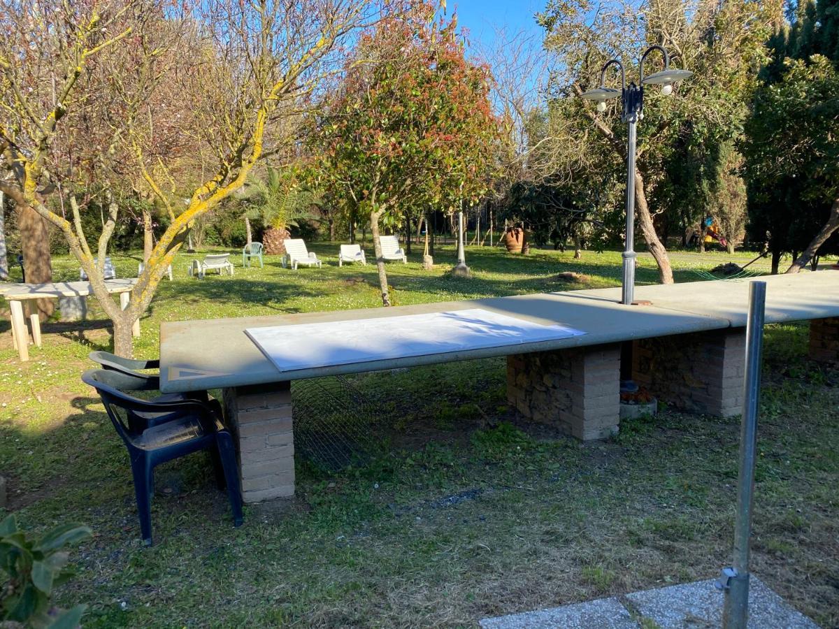 Agriturismo Le Biricoccole Vada Εξωτερικό φωτογραφία