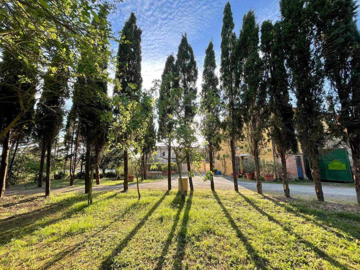Agriturismo Le Biricoccole Vada Εξωτερικό φωτογραφία