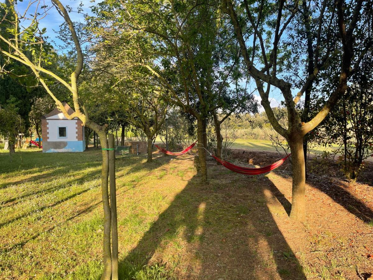 Agriturismo Le Biricoccole Vada Εξωτερικό φωτογραφία