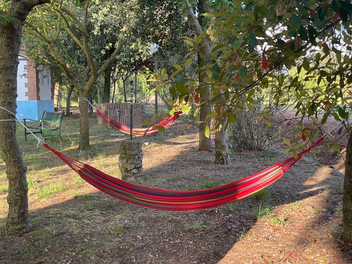 Agriturismo Le Biricoccole Vada Εξωτερικό φωτογραφία
