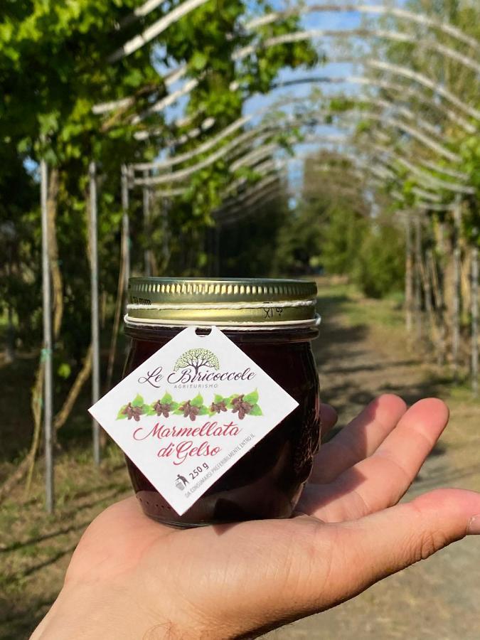 Agriturismo Le Biricoccole Vada Εξωτερικό φωτογραφία