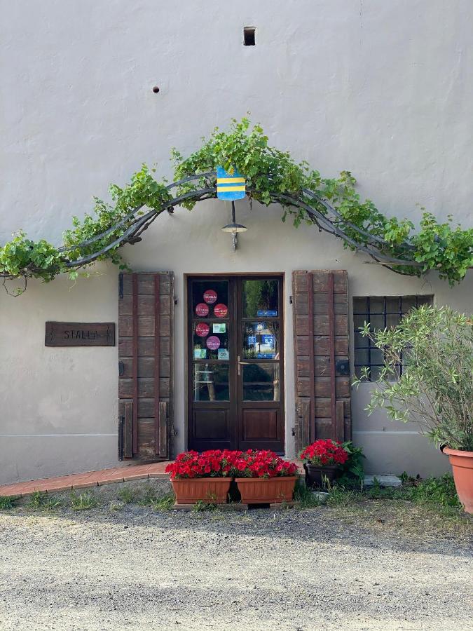 Agriturismo Le Biricoccole Vada Εξωτερικό φωτογραφία