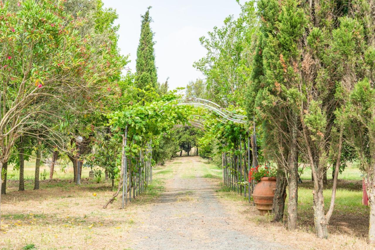 Agriturismo Le Biricoccole Vada Εξωτερικό φωτογραφία