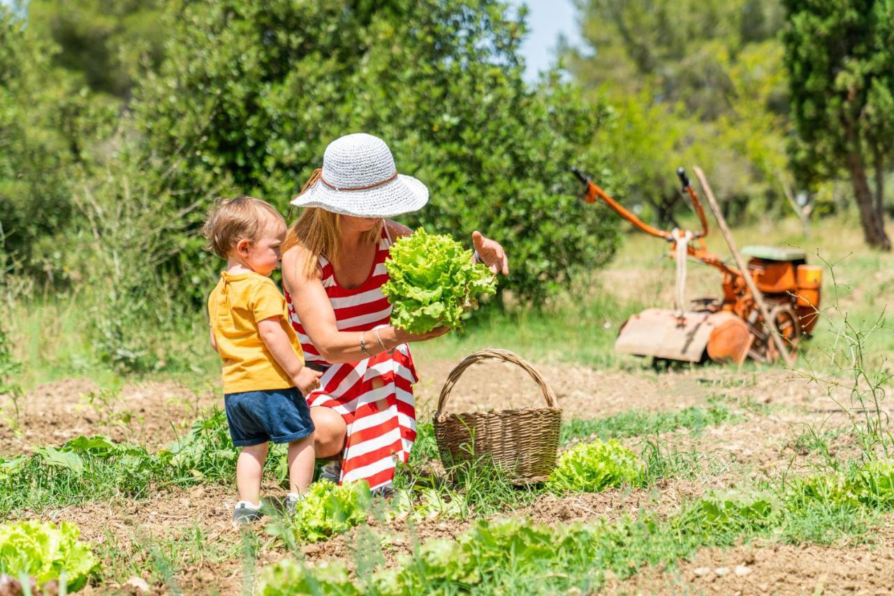 Agriturismo Le Biricoccole Vada Εξωτερικό φωτογραφία