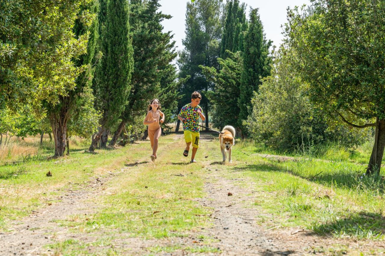 Agriturismo Le Biricoccole Vada Εξωτερικό φωτογραφία