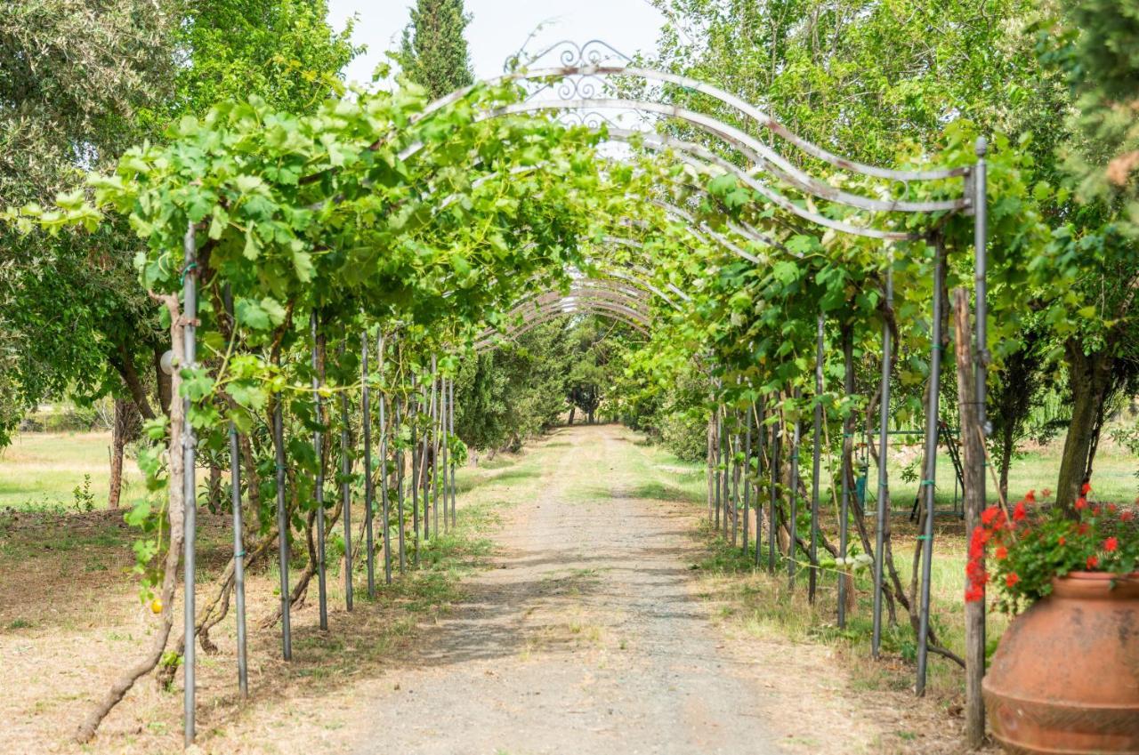 Agriturismo Le Biricoccole Vada Εξωτερικό φωτογραφία