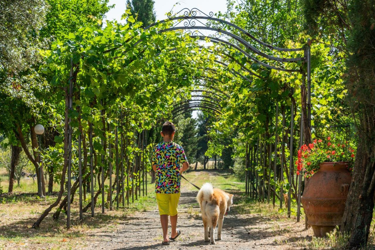 Agriturismo Le Biricoccole Vada Εξωτερικό φωτογραφία