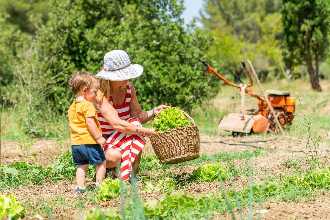 Agriturismo Le Biricoccole Vada Εξωτερικό φωτογραφία
